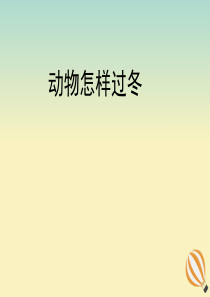 三年级科学上册 第四单元 有趣的动物 2 《动物怎样过冬》教学课件 大象版