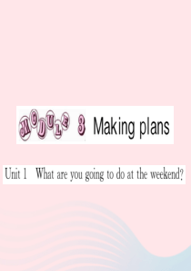 七年级英语下册 Module 3 Making plans Unit 1 What are you 