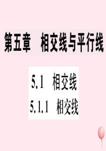 七年级数学下册 第五章 相交线与平行线5.1 相交线 5.1.1 相交线习题课件（新版）新人教版