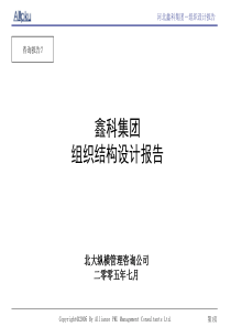 北大纵横—安徽鑫科新材料股份有限公司战略规划项目-鑫