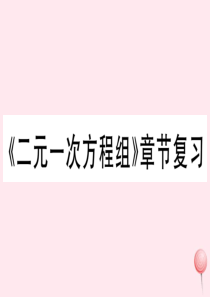 七年级数学下册 第八章 二元一次方程组章节复习习题课件（新版）新人教版