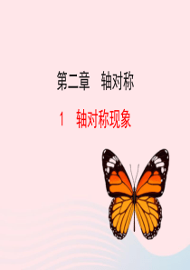 七年级数学上册 第二章 轴对称 1轴对称现象课件 鲁教版五四制