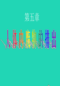七年级生物下册 第五章 人体内废物的排出课件1 （新版）新人教版