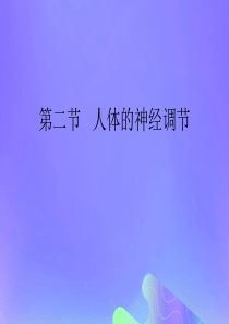 七年级生物下册 第四单元 生物圈中的人 第十二章 人体生命活动的调节 第二节 人体的神经调节课件4（