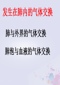 七年级生物下册 第四单元 生物圈中的人 第三章 人体的呼吸 第二节 发生在肺内的气体交换课件1（新版