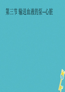 七年级生物下册 第四单元 第四章 第三节 输送血液的泵——心脏课件1 （新版）新人教版