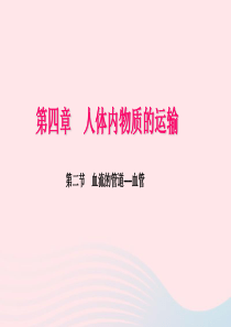 七年级生物下册 第四单元 第四章 第二节 血流的管道 血管习题课件 （新版）新人教版