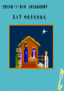 七年级生物下册 第四单元 第六章 第二节 神经系统的组成课件1 （新版）新人教版