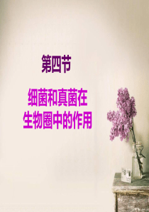 七年级生物下册 6.1.4《细菌和真菌在生物圈中的利用》课件3 鲁科版五四制