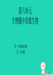 七年级生物下册 6.1.2《细菌》课件1 鲁科版五四制
