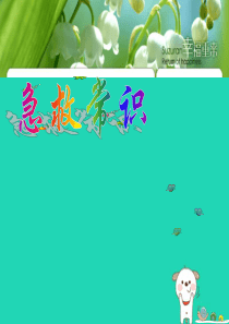 七年级生物下册 5.2.2《急救常识》课件3 鲁科版五四制