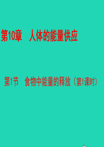 七年级生物下册 4.10.1《食物中能量的释放》（第1课时）教学课件 （新版）北师大版