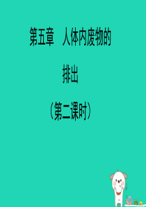 七年级生物下册 4.5《人体内废物的排出》第二课时预习课件 （新版）新人教版