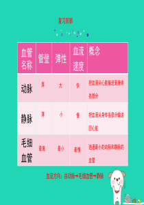七年级生物下册 4.4.3《输送血液的泵——心脏》第一课时课件 （新版）新人教版