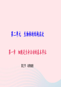 七年级生物上册 第二单元 第一章 第三节 动物细胞习题课件 （新版）新人教版