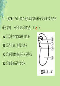 七年级生物上册 第4章和6章第1、2节复习课件 （新版）北师大版