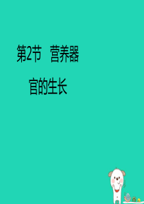 七年级生物上册 3.6.2《营养器官的生长》课件4 （新版）北师大版