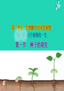 七年级生物上册 3.2.1 种子的萌发课件 （新版）新人教版