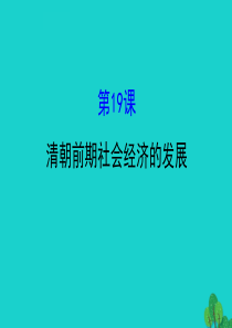 七年级历史下册 第三单元 明清时期：统一多民族国家的巩固与发展 第19课清朝前期社会经济的发展习题课