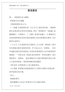 辞呈报告