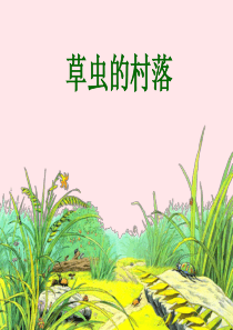六年级语文上册 第一组 3《草虫的村落》课堂教学课件2 新人教版