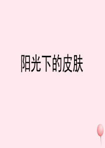 六年级语文上册 第四单元 19《阳光下的皮肤》教学课件 冀教版