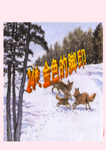 六年级语文上册 第七组 24金色的脚印课堂教学课件1 新人教版
