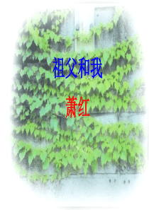 六年级语文上册 第1课《祖父和我》课件2 沪教版