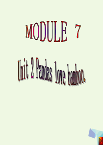 六年级英语上册 Unit 1 Pandas love bamboo课件3 外研版（一起）