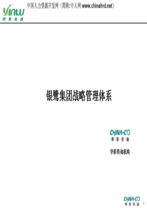 华彩咨询银鹭战略管理体系