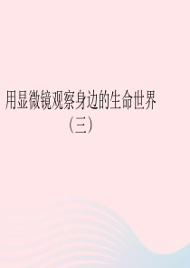 六年级科学下册 第一单元 微小世界 7 用显微镜观察身边的生命世界三课件1 教科版
