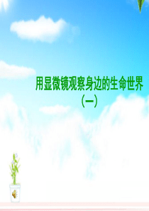 六年级科学下册 第一单元 微小世界 5 用显微镜观察身边的生命世界(一)课件7 教科版