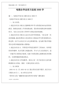 电视台毕业实习总结3000字