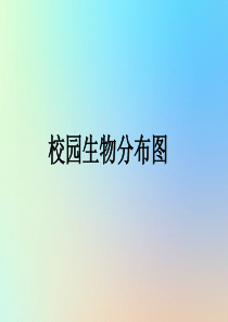 六年级科学上册 生物的多样性 2校园生物分布图课件 教科版