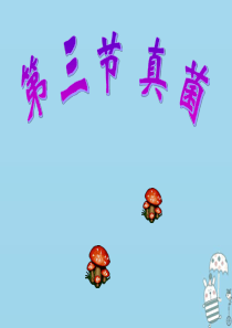 辽宁省凌海市2018年八年级生物上册 5.4.3真菌课件 （新版）新人教版