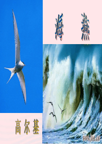 九年级语文下册 第一单元 4 海燕课件 新人教版