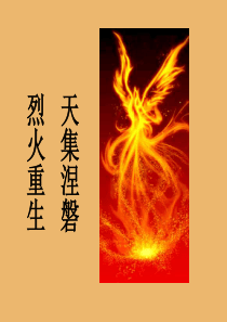 【房地产】中原：08年策划建议逆市这样破冰刘瑞