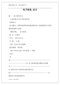 电子政务,论文