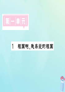 九年级语文下册 第一单元 1《祖国啊，我亲爱的祖国》课堂过关演练课件 新人教版
