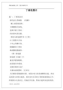 丁香花图片
