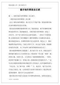 董存瑞炸碉堡读后感
