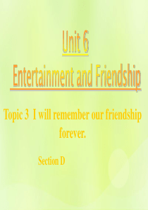 九年级英语下册 Unit 6 Entertainment and Friendship Topic 