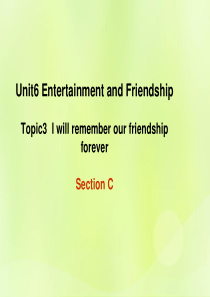 九年级英语下册 Unit 6 Entertainment and Friendship Topic 