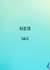 九年级英语全册 Unit 12 Life is full of the unexpected复习课件