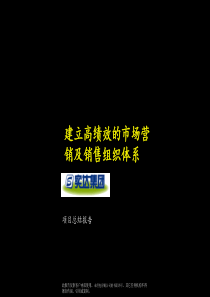 麦肯锡为实达做的项目总结报告（PPT 128页）