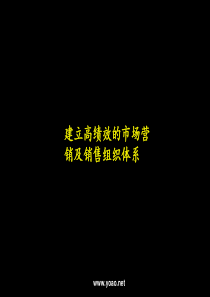 麦肯锡的项目总结报告