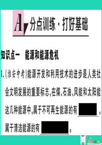 九年级物理下册 20.1 能源和能源危机 20.2 开发新能源习题课件 （新版）粤教沪版