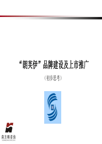 南方策略-“朗芙伊”品牌建设及上市推广PPT63页