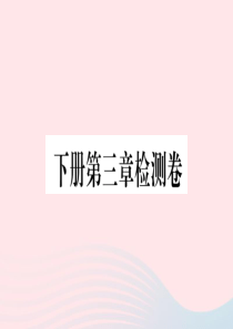 九年级数学下册 第三章 圆检测卷课件（新版）北师大版