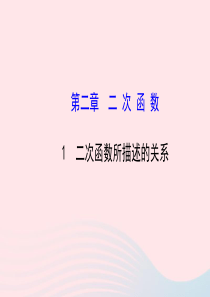 九年级数学下册 第二章二次函数 1 二次函数所描述的关系习题课件 北师大版